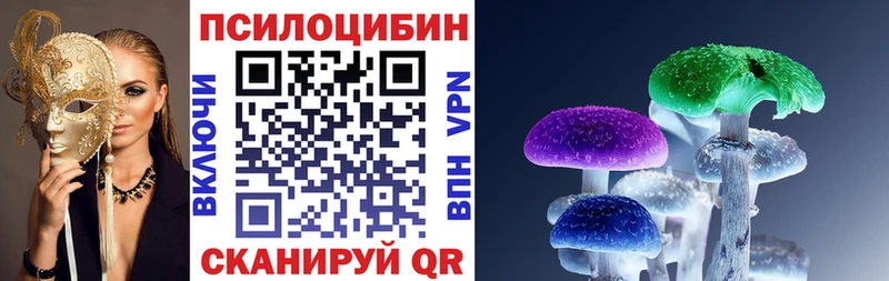 Псилоцибиновые грибы Cubensis  Родники 
