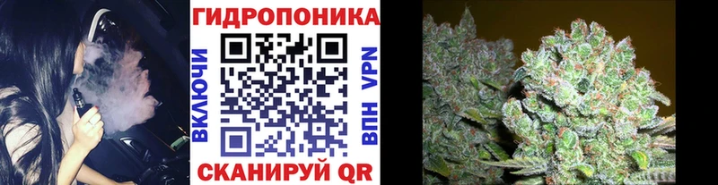 Каннабис семена  где продают наркотики  Родники 